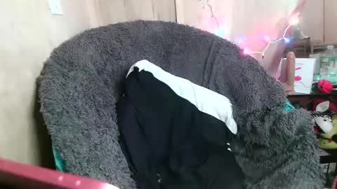 Snapshot of kennedynova777 chatting on 01.26.25 Kennedy Nova  online show from 01.26.25