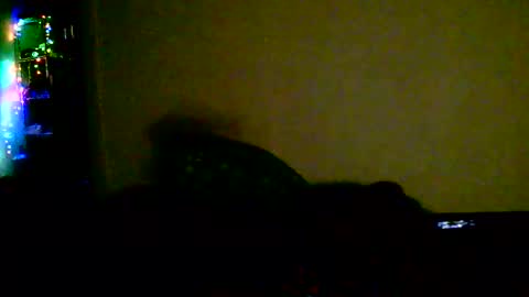 kev online show from 02.18.26