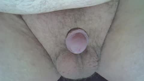 maggot online show from 12.30.24