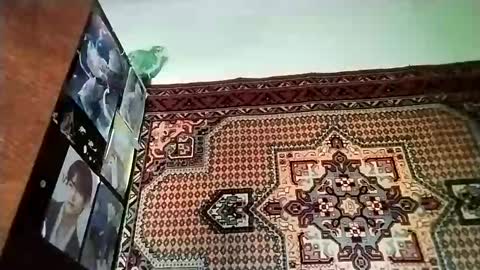 kikibang_ online show from 11.20.25