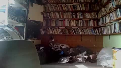 Snapshot of kindhate01 chatting on 02.13.26 kindhate01 online show from 02.13.26