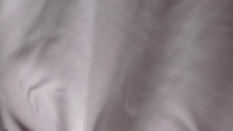 King Dante  online show from 02.11.25