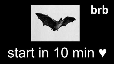 meow online show from 06.03.26