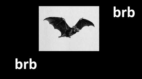 meow online show from 08.05.26