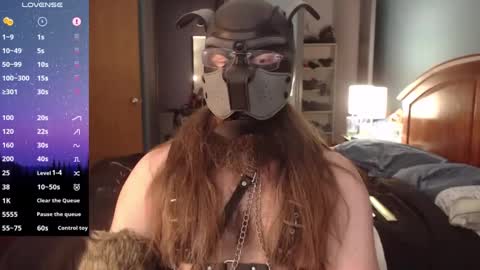 Snapshot of kinkywolf87 chatting on 12.02.24 kinkywolf87 online show from 12.02.24