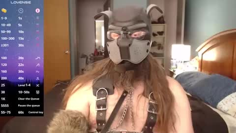 Snapshot of kinkywolf87 chatting on 12.06.24 kinkywolf87 online show from 12.06.24