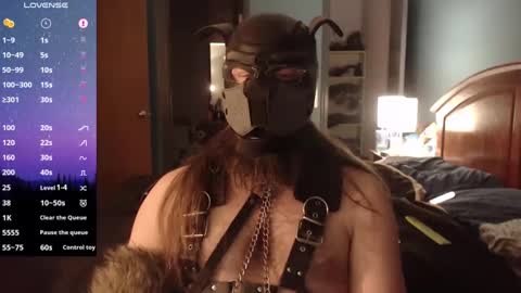Snapshot of kinkywolf87 chatting on 12.20.24 kinkywolf87 online show from 12.20.24