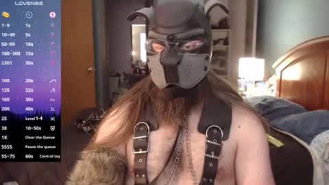 Snapshot of kinkywolf87 chatting on 12.21.24 kinkywolf87 online show from 12.21.24