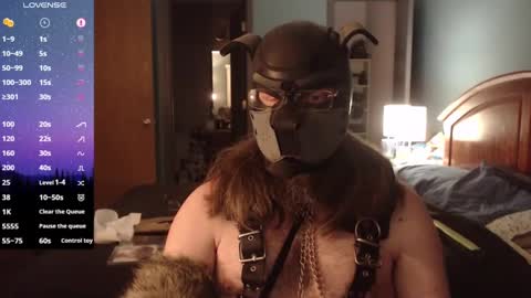 Snapshot of kinkywolf87 chatting on 01.15.25 kinkywolf87 online show from 01.15.25