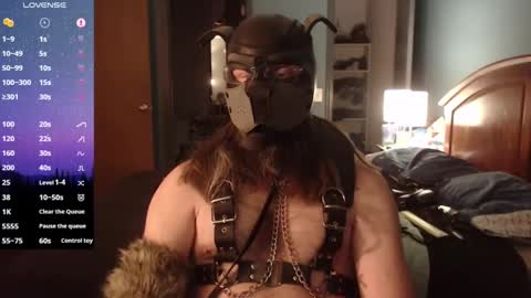 Snapshot of kinkywolf87 chatting on 01.20.25 kinkywolf87 online show from 01.20.25