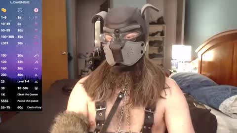 Snapshot of kinkywolf87 chatting on 02.23.25 kinkywolf87 online show from 02.23.25