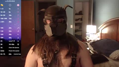 Snapshot of kinkywolf87 chatting on 02.27.25 kinkywolf87 online show from 02.27.25