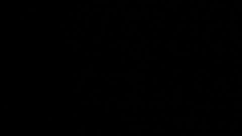 M A R A  online show from 12.05.25