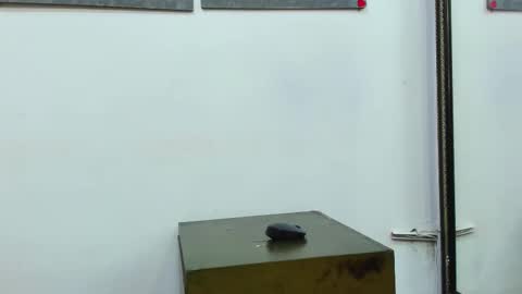 kira online show from 02.27.25