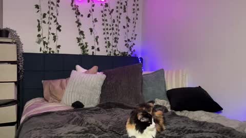 Snapshot of kisskatie chatting on 12.16.24 Kaitie online show from 12.16.24