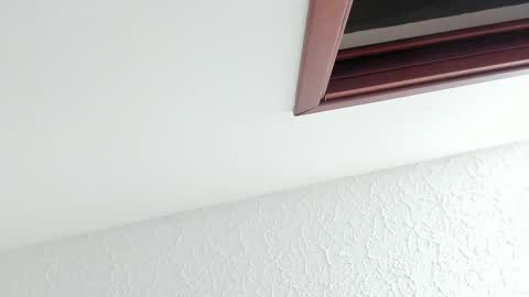 Sara online show from 02.27.26