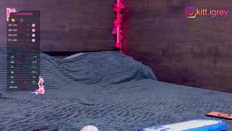 Snapshot of kitigrey chatting on 10.30.25 kitigrey online show from 10.30.25