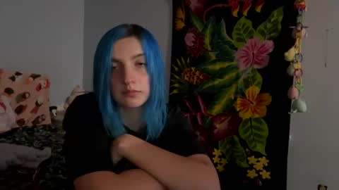 Kitty online show from 12.06.24