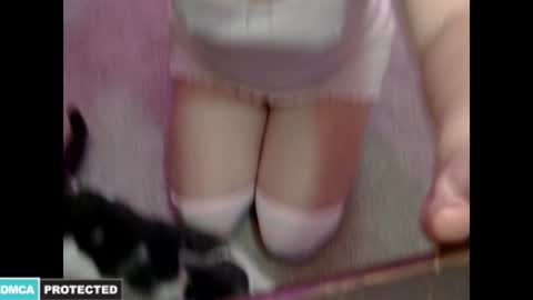 Kitty online show from 01.16.25