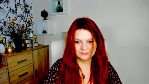 Kitten online show from 05.08.26