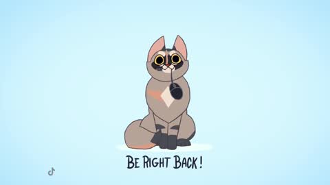 Kitty online show from 02.13.25