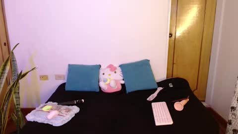 Snapshot of kittycatw chatting on 11.05.25 LAURA help me reach 100likes online show from 11.05.25