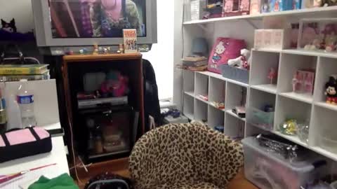kittykatcoco online show from 01.08.26