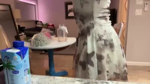 kittypurr79 online show from 09.30.25