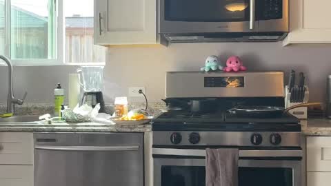 kittypurr79 online show from 04.04.26