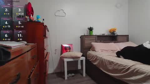 Kittyymaze online show from 12.03.24