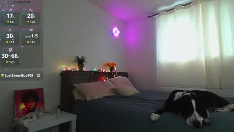 Kittyymaze online show from 12.12.24