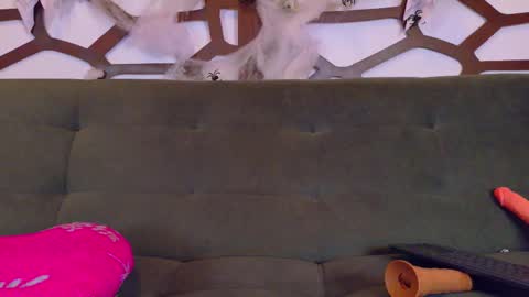 Snapshot of kloe_bella chatting on 10.27.25 kloe_bella online show from 10.27.25