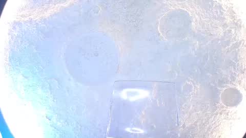 K L O E online show from 09.15.25