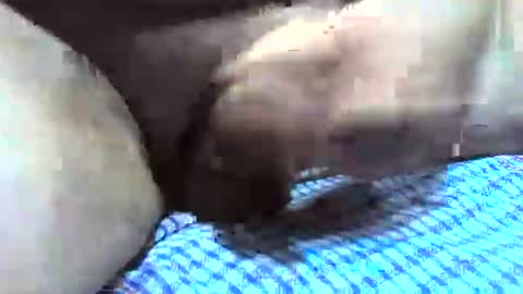 klok8230 online show from 12.16.25