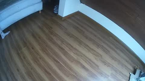 Klowrash online show from 01.30.25