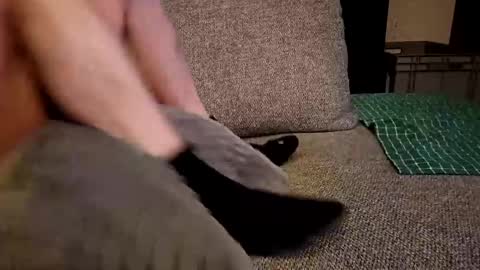 koelie1982 online show from 12.19.24