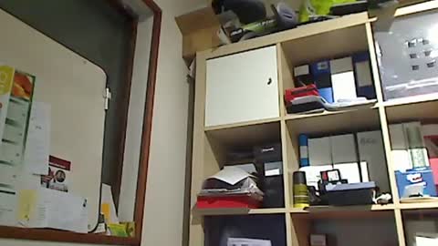 Snapshot of kokin3034 chatting on 01.08.25 kokin3034 online show from 01.08.25