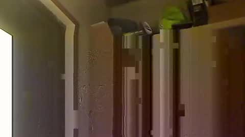 Snapshot of kokin3034 chatting on 10.08.25 kokin3034 online show from 10.08.25