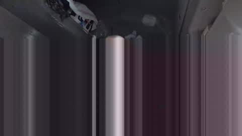 Bogdan online show from 02.26.25