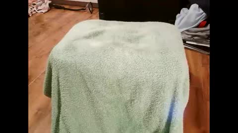 kotek400 online show from 01.30.25