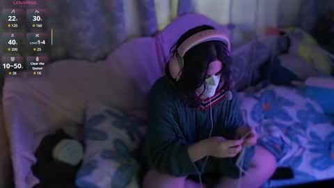 fancy cat online show from 11.25.25