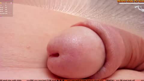 Petra online show from 01.14.26