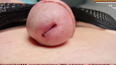 Petra online show from 03.21.26