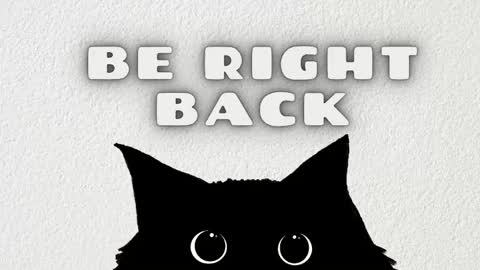   online show from 04.11.26