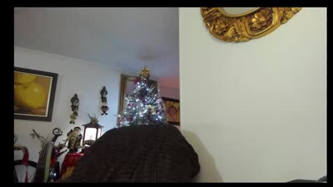 kyhara online show from 12.23.24