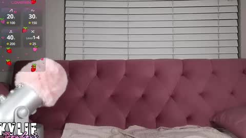 Snapshot of kylieboudoir chatting on 02.18.25 Kylie Boudoir online show from 02.18.25