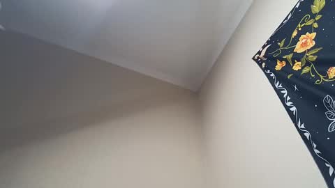 Snapshot of l_adonis_l chatting on 02.28.25 Adonis online show from 02.28.25