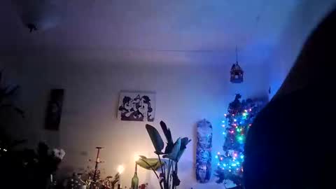 lacybell online show from 12.19.25