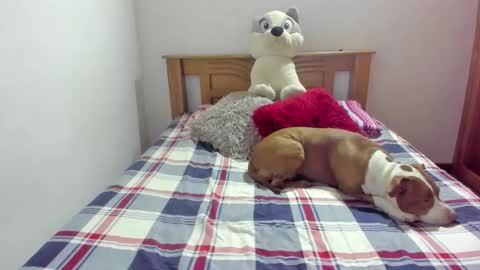 Akyra  online show from 10.21.25