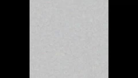  paola and a guest lol    online show from 11.12.25